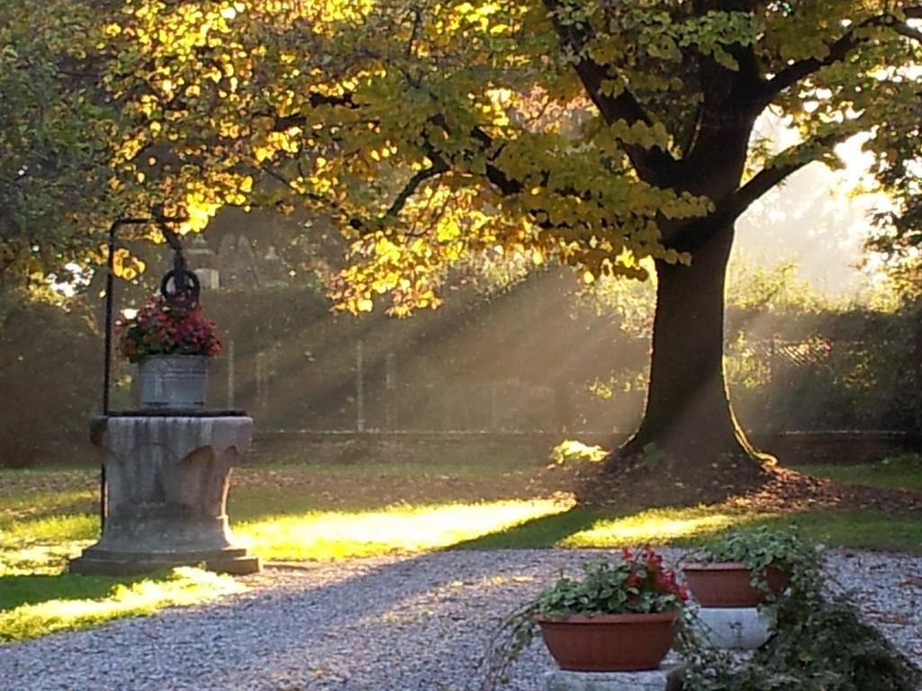 I Quarti Villa Guarda Veneta Exteriör bild