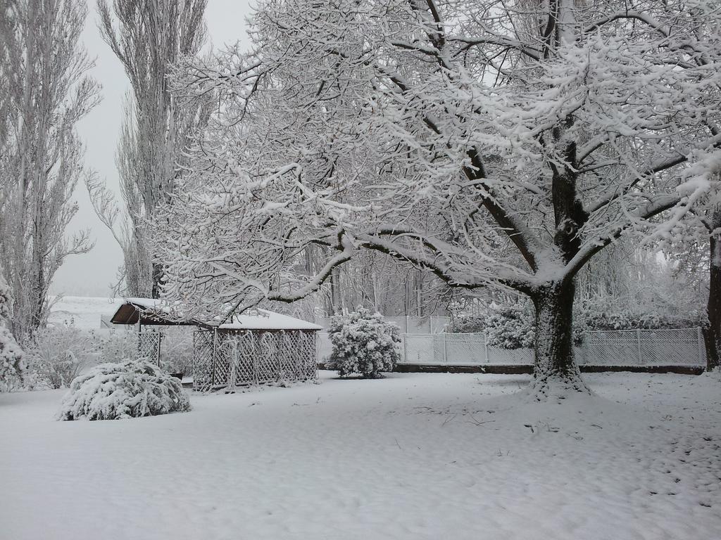 I Quarti Villa Guarda Veneta Exteriör bild