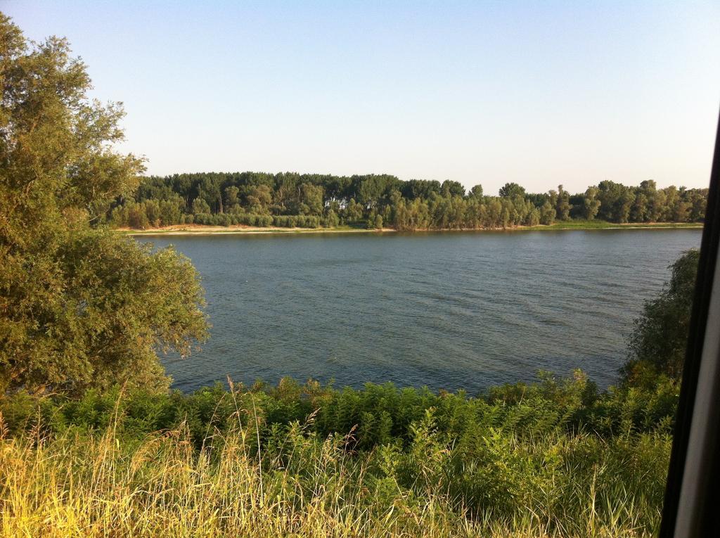 I Quarti Villa Guarda Veneta Exteriör bild